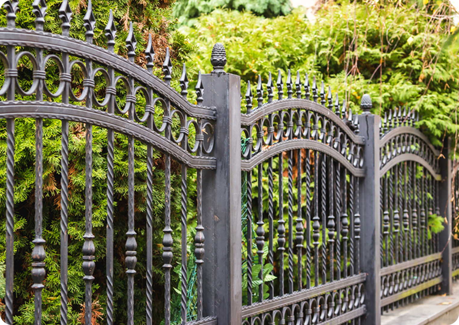 Decorative wrought iron fence with greenery background.