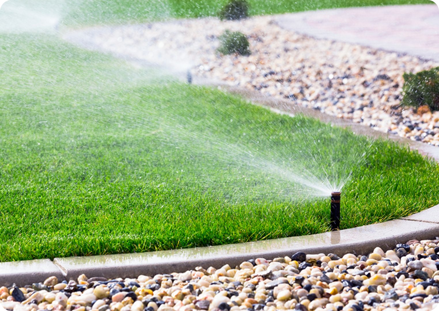 Sprinkler watering a green grass lawn.