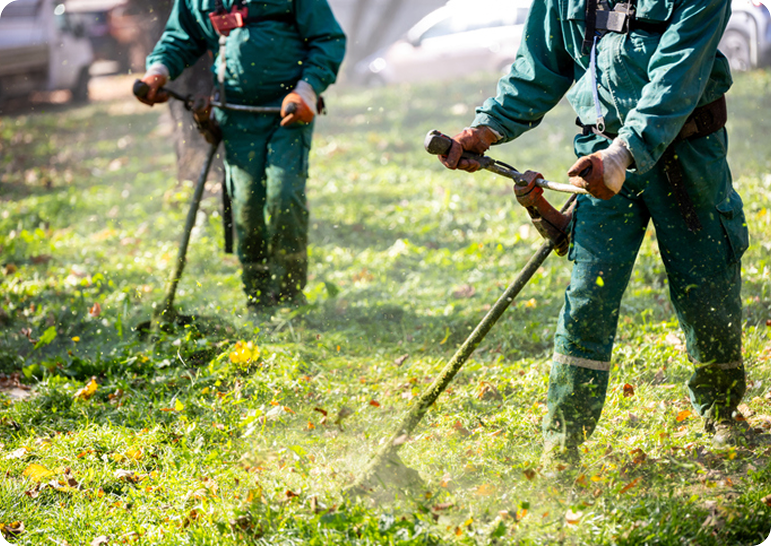Workers trimming grass with string trimmers.