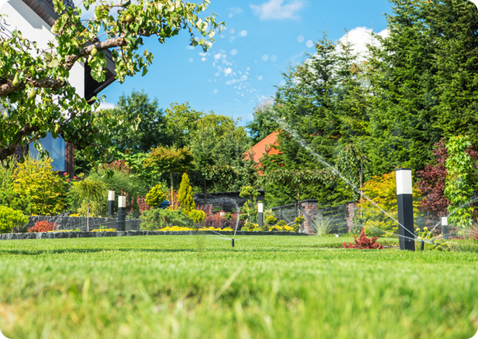 Garden with trees, grass, and sprinkler system.