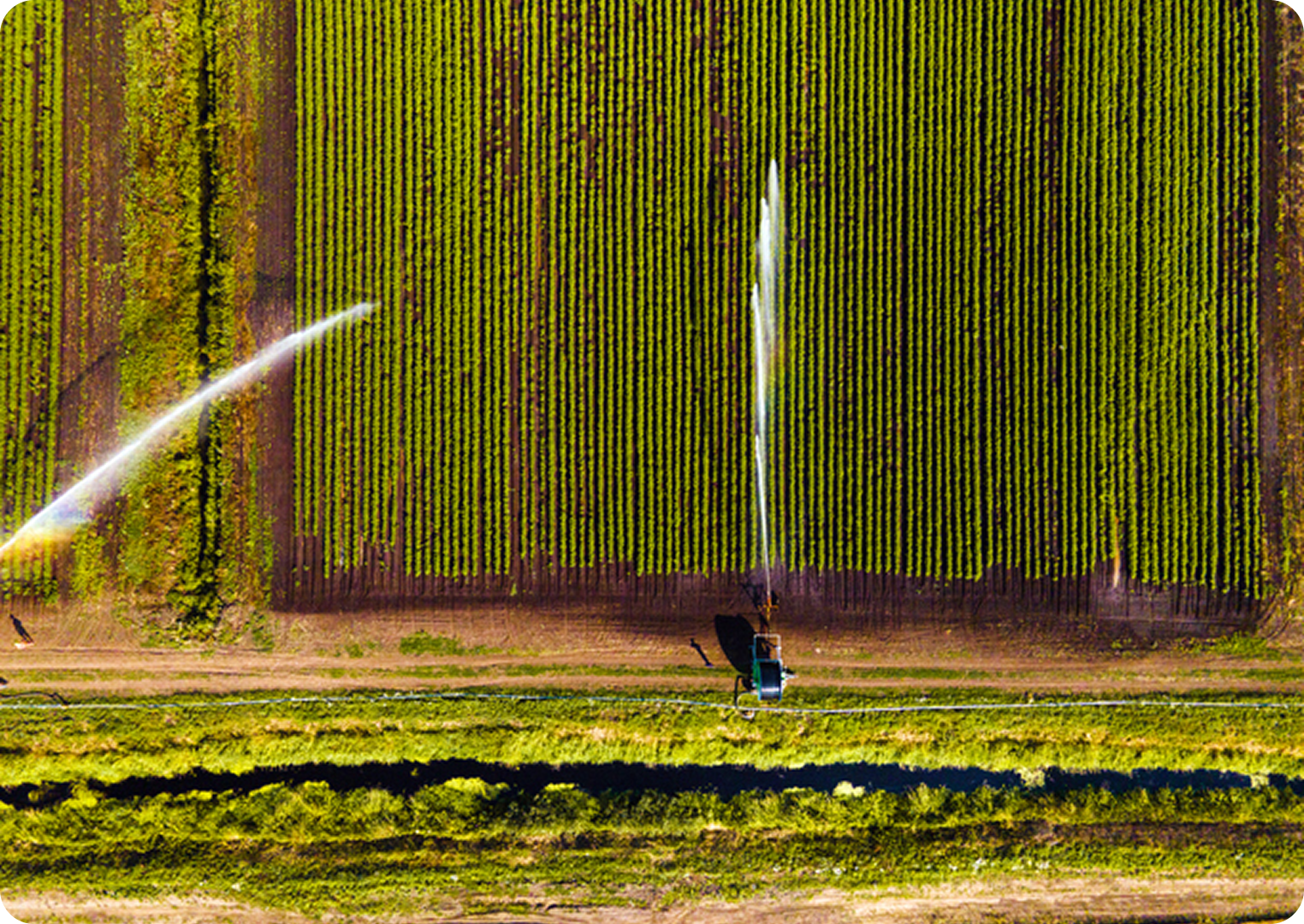 Aerial view of field with irrigation system.