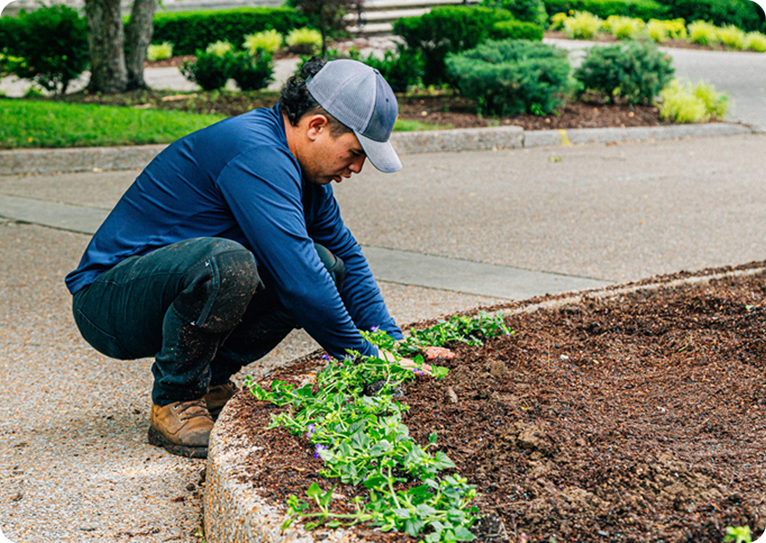 Man planting flowers in a garden bed.