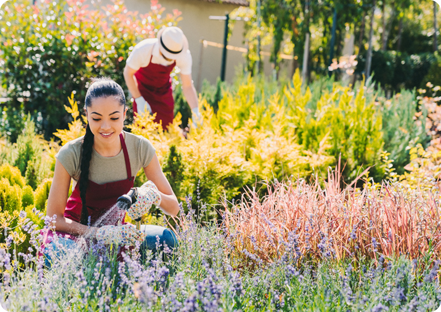 People gardening in a lush green garden.