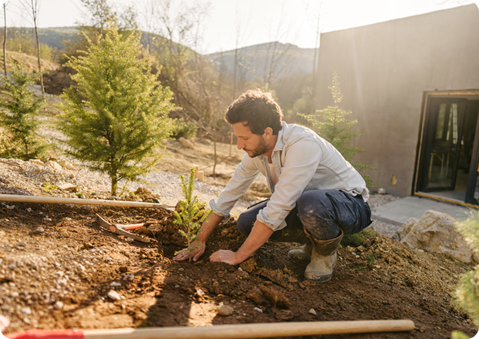 Man planting a tree in the garden.