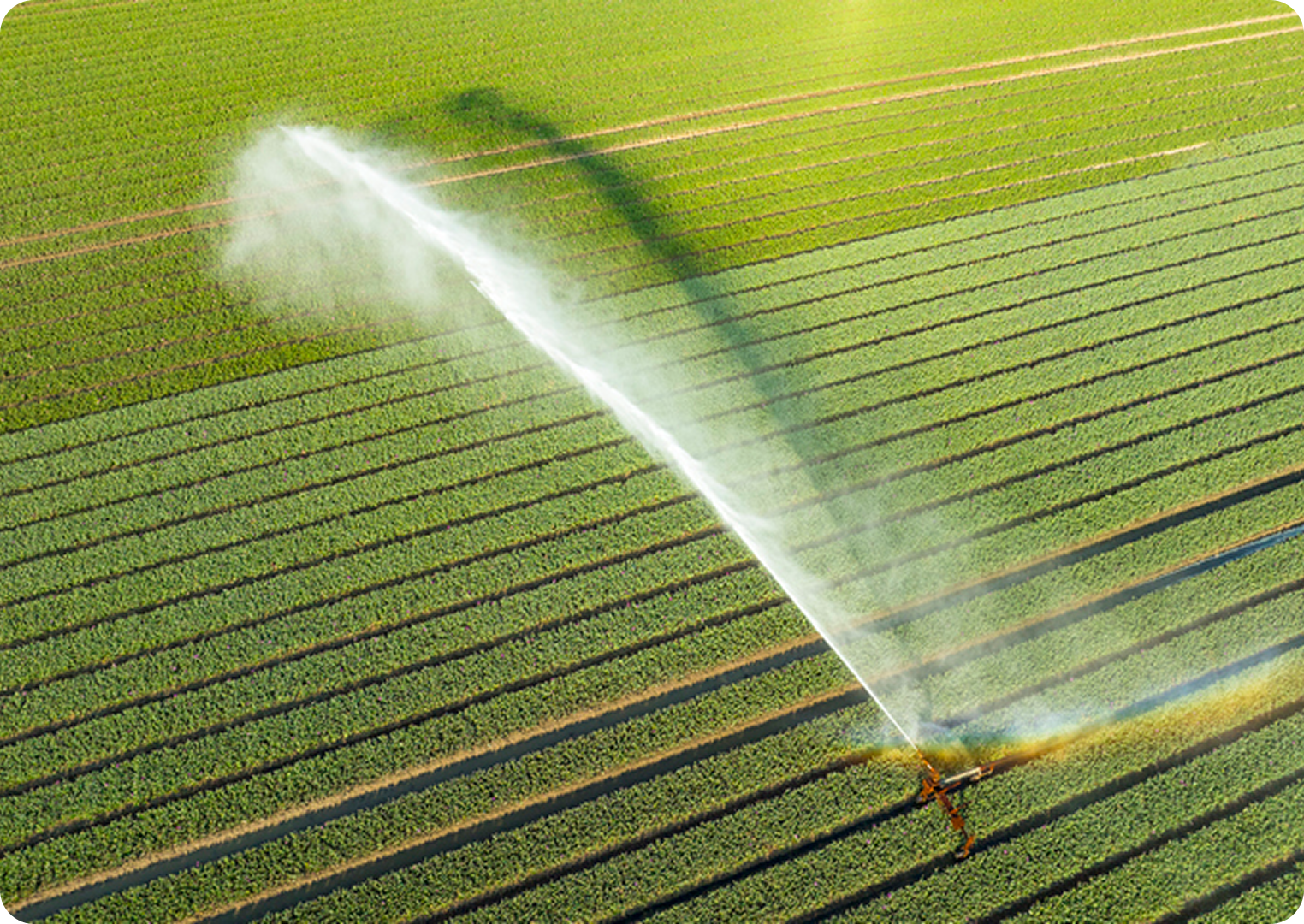 Aerial view of field irrigation system.