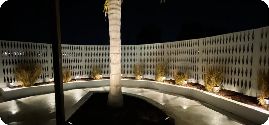 Modern garden with palm tree at night.