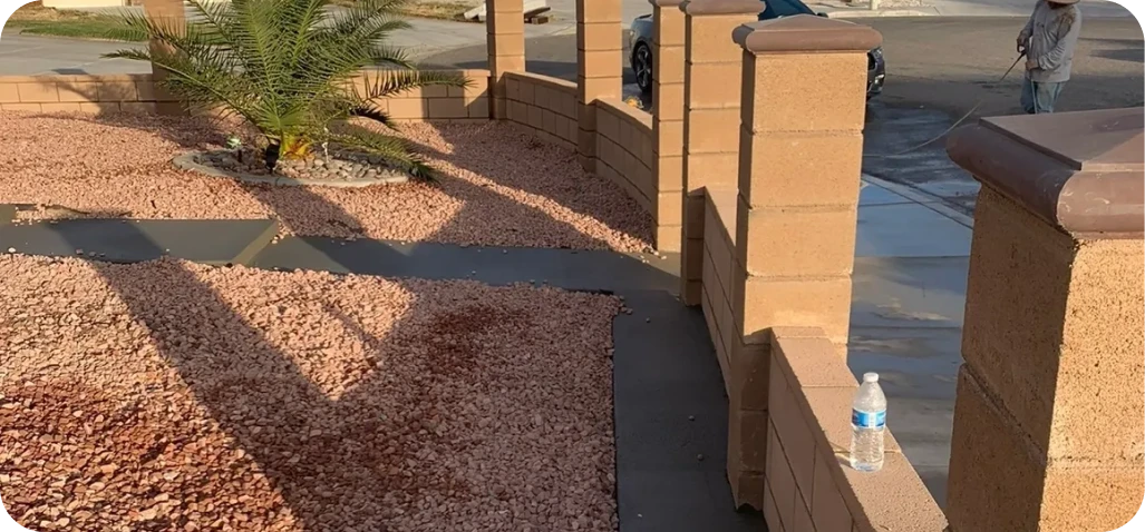 Desert landscape with palm tree and shadows.