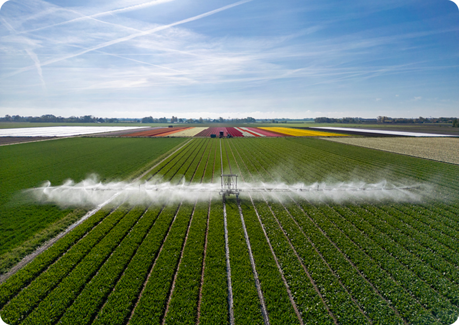 Aerial view of irrigation in vast fields.